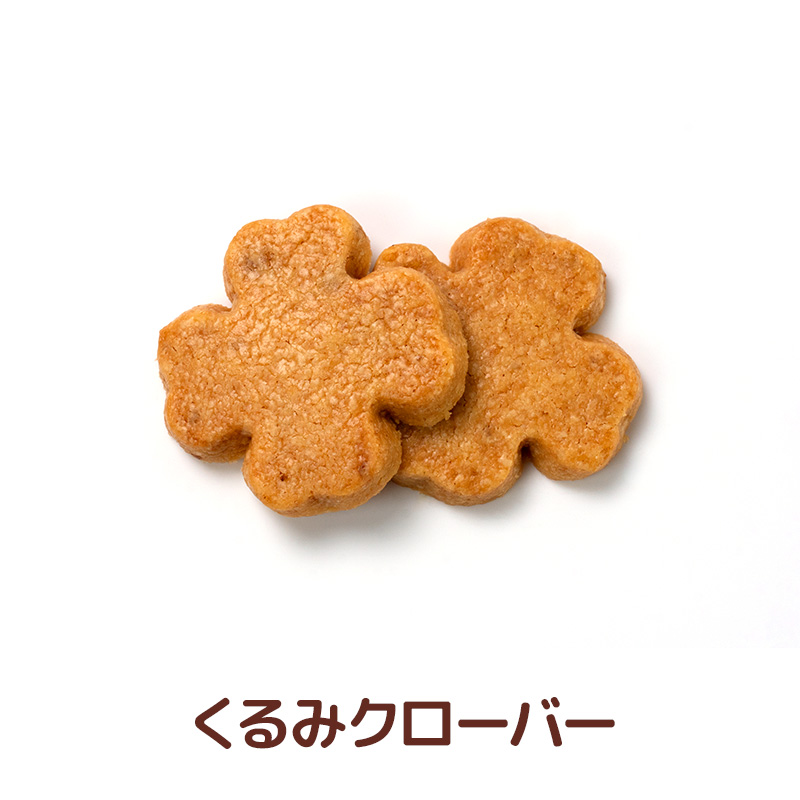 くるみクローバー